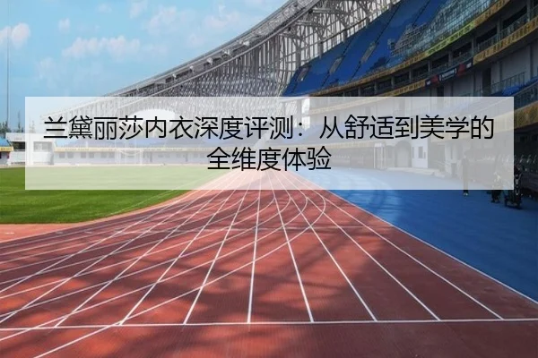 兰黛丽莎内衣深度评测：从舒适到美学的全维度体验
