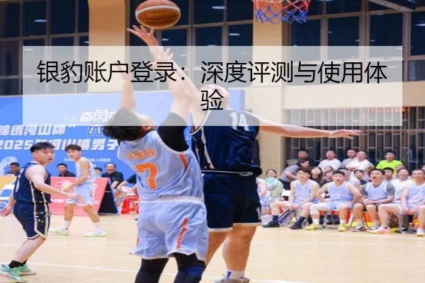 银豹账户登录：深度评测与使用体验